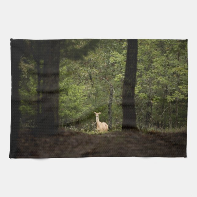 Linge De Cuisine Forest | A White Tailed Deer in the Woods (Horizontal)