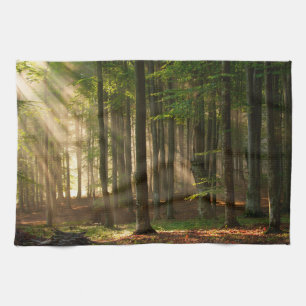 Linge De Cuisine Forêt Forêt d'automne