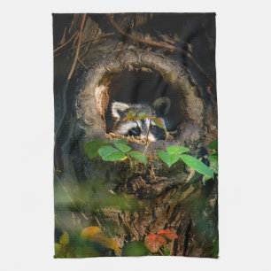 Linge De Cuisine Forêt Raccoon Peeking