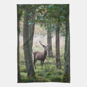 Linge De Cuisine Forêt   Woodlands & Red Deer