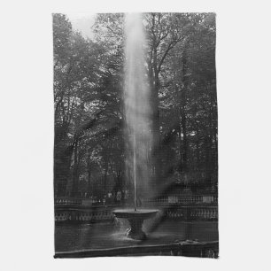 Linge De Cuisine France vintage : Palais de Versailles bosquet des