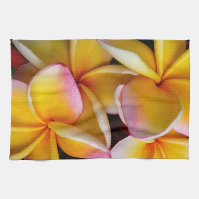 Linge De Cuisine Frangipani hawaïen (Horizontal)