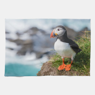 Linge De Cuisine Fratercula Arctica