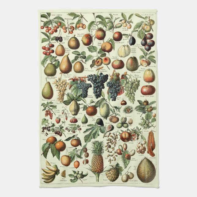 Linge De Cuisine Fruit vintage par Adolphe Millot (Vertical)