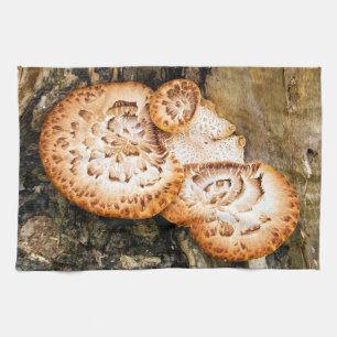 LINGE DE CUISINE FUNGI