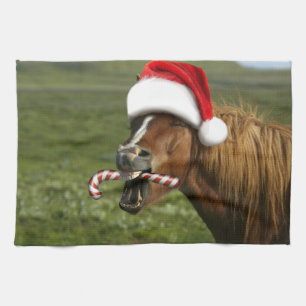 Linge De Cuisine Funny Christmas horse with Santa a smiling