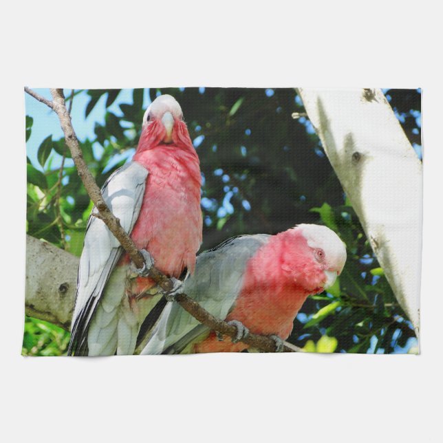 Linge De Cuisine Galah (cacatoès rose de Breasted) (Horizontal)