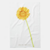 Gerbera