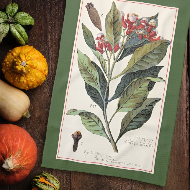 LINGE DE CUISINE GIROFLES - ILLUSTRATION BOTANIQUE VINTAGE (Créateur téléchargé)