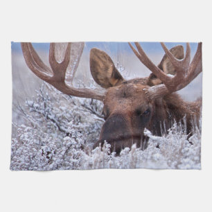 Linge De Cuisine Glace et neige Grand Teton National Park, Wyomin