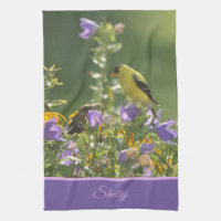 Goldfinch sur Harebell Flower