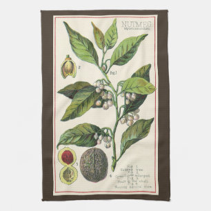 Linge De Cuisine Graines de fruits Plantes de muscade vintage, Herb