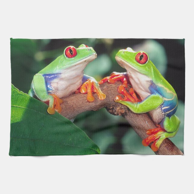 Linge De Cuisine Grenouille aux yeux rouges, Agalychinis callidryas (Horizontal)