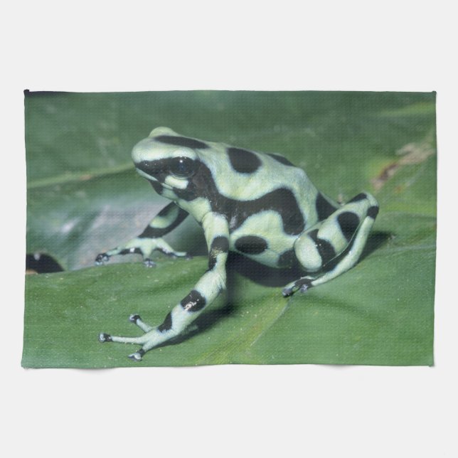 Linge De Cuisine Grenouille flèche empoisonnée, (Dendrobates auratu (Horizontal)