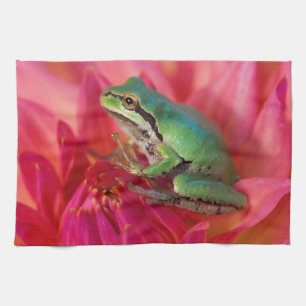 Linge De Cuisine Grenouille léopard sur des fleurs dans notre jardi