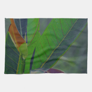 Linge De Cuisine Gros plan des Feuilles verts