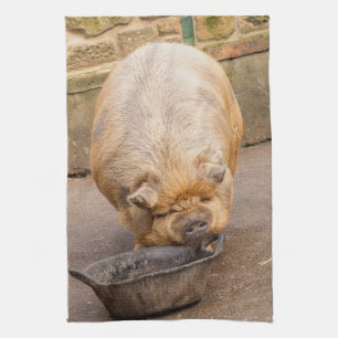 Linge De Cuisine Gros porc