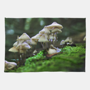 Linge De Cuisine Groupe de champignons