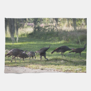 Linge De Cuisine Groupe de Turquie sauvage dans l'herbe