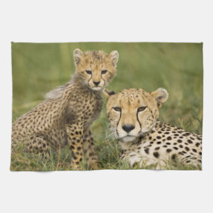 Linge De Cuisine Guépard, Acinonyx jubatus, avec son petit
