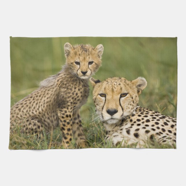 Linge De Cuisine Guépard, Acinonyx jubatus, avec son petit (Horizontal)