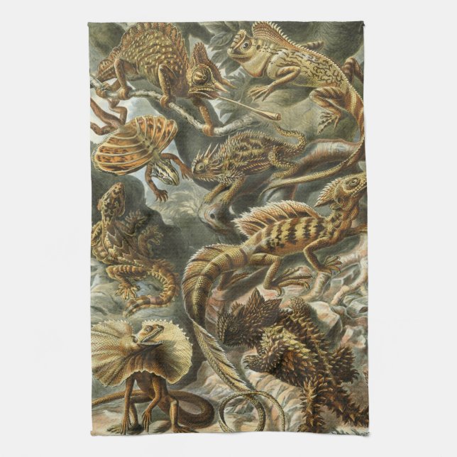 Linge De Cuisine Haeckel (Vertical)