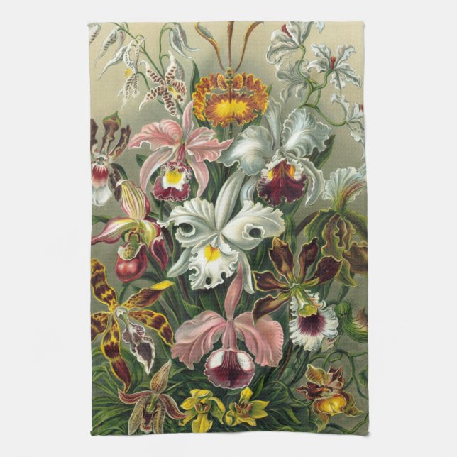 Linge De Cuisine Haeckel Orchids (Vertical)