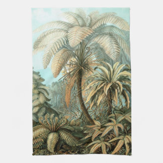 Linge De Cuisine Haeckel Palm Trees
