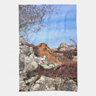 LINGE DE CUISINE HARE