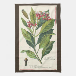 Linge De Cuisine Herbes et épices alimentaires vintage, plante de c