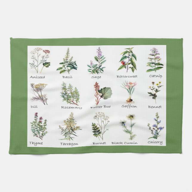 Linge De Cuisine Herbes et épices illustrations couleur pleine (Horizontal)