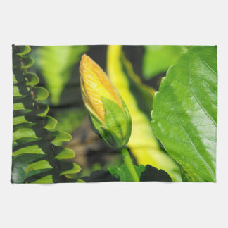 Linge De Cuisine Hibiscus