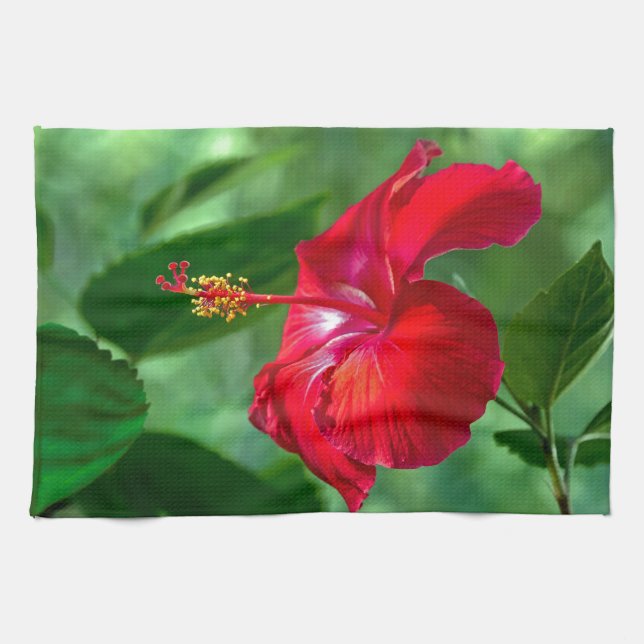 Linge De Cuisine Hibiscus Blossom (Horizontal)
