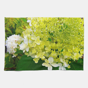 Linge De Cuisine Hydrangea Limelight Vert Chartreuse Élégant
