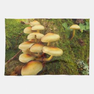 Linge De Cuisine Hypholoma fasciculare Mushroom Tea Towne