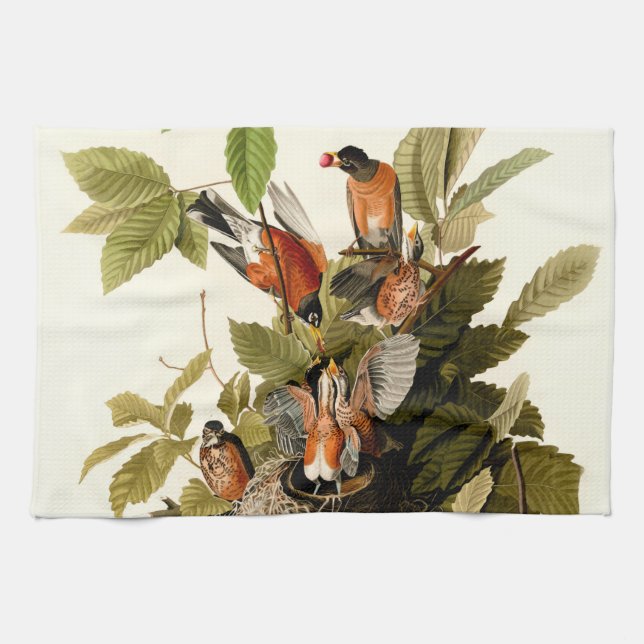 Linge De Cuisine Illustration Audubon American Robin Wildlife Bird (Horizontal)