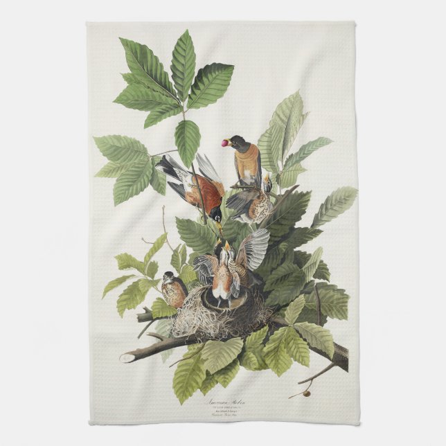 Linge De Cuisine Illustration Audubon American Spring Robin Bird (Vertical)