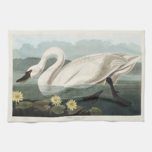 Linge De Cuisine Illustration Audubon Cygne Blanc Nénuphar Vintage