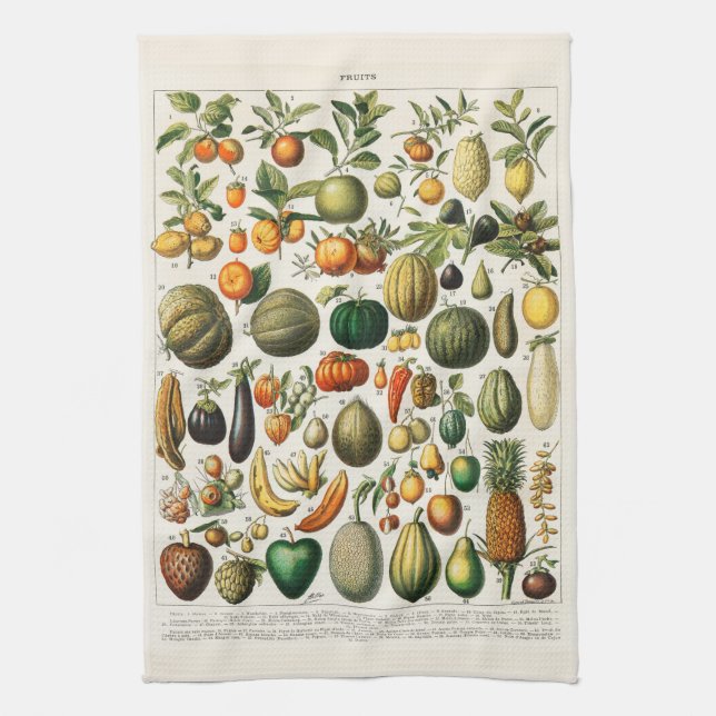 Linge De Cuisine Illustration botanique vintage de fruits   (Vertical)