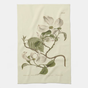 Linge De Cuisine Illustration de fleurs de cornouiller blanc
