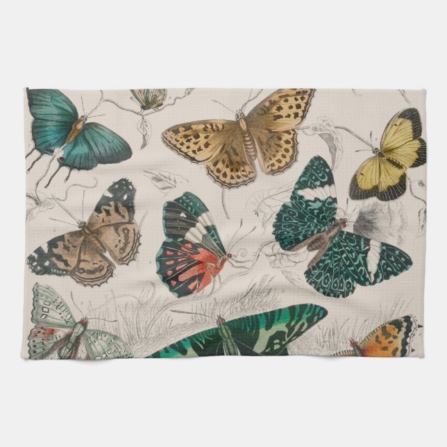 Linge De Cuisine Illustration de papillon antique : 1820 Orfèvre (Horizontal)
