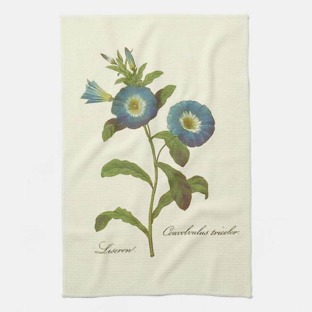 Linge De Cuisine Illustration de Volubilis Bleu (Vertical)