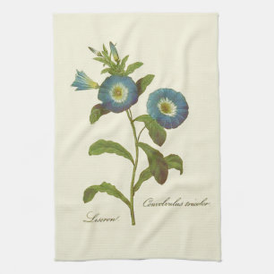 Linge De Cuisine Illustration en bleu du matin