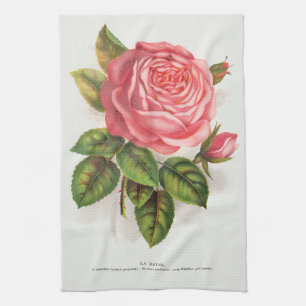 Linge De Cuisine Illustration florale de rose rose antique Cottagec