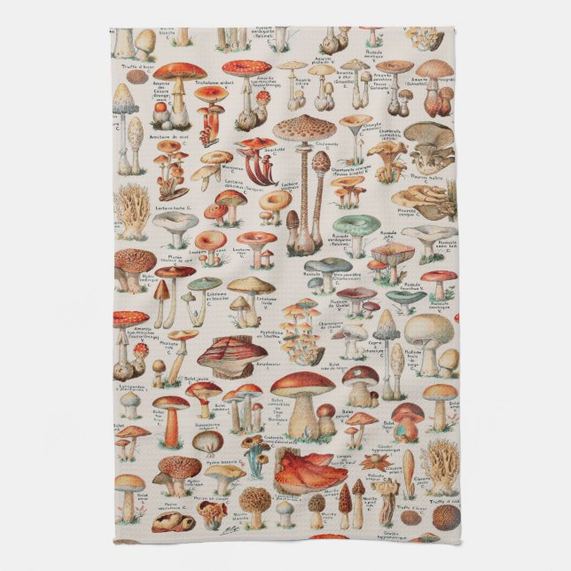 Linge De Cuisine Illustration I du champignon vintage (Vertical)