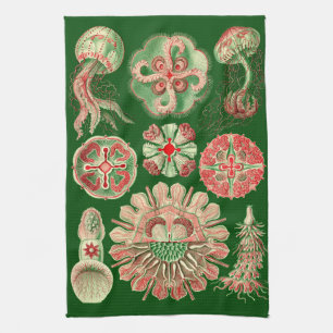 Linge De Cuisine Illustration marine de méduses de Haeckel rouge et