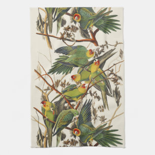 Linge De Cuisine Illustration vintage d'Audubon du Perroquet de Car