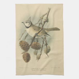 Linge De Cuisine Illustration vintage de mésange huppée européenne