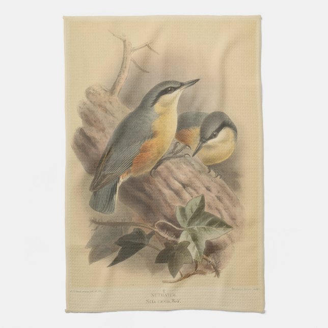 Linge De Cuisine Illustration vintage de Nuthatch (Vertical)