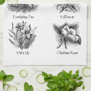Linge De Cuisine Illustrations botaniques